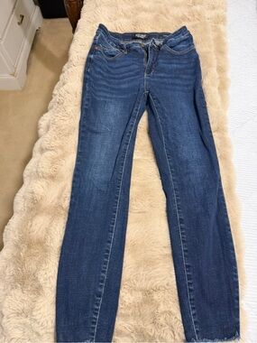 Judy Blue Dark Indigo Skinny Jeans